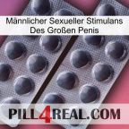 Männlicher Sexueller Stimulans Des Großen Penis 31